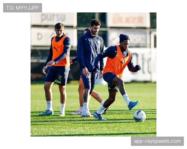 尼斯主力中卫欧冠受伤，联赛缺阵一个月