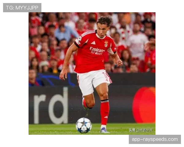 本菲卡冬窗瞄准前锋，穆里尼奥欲提升锋线多样性